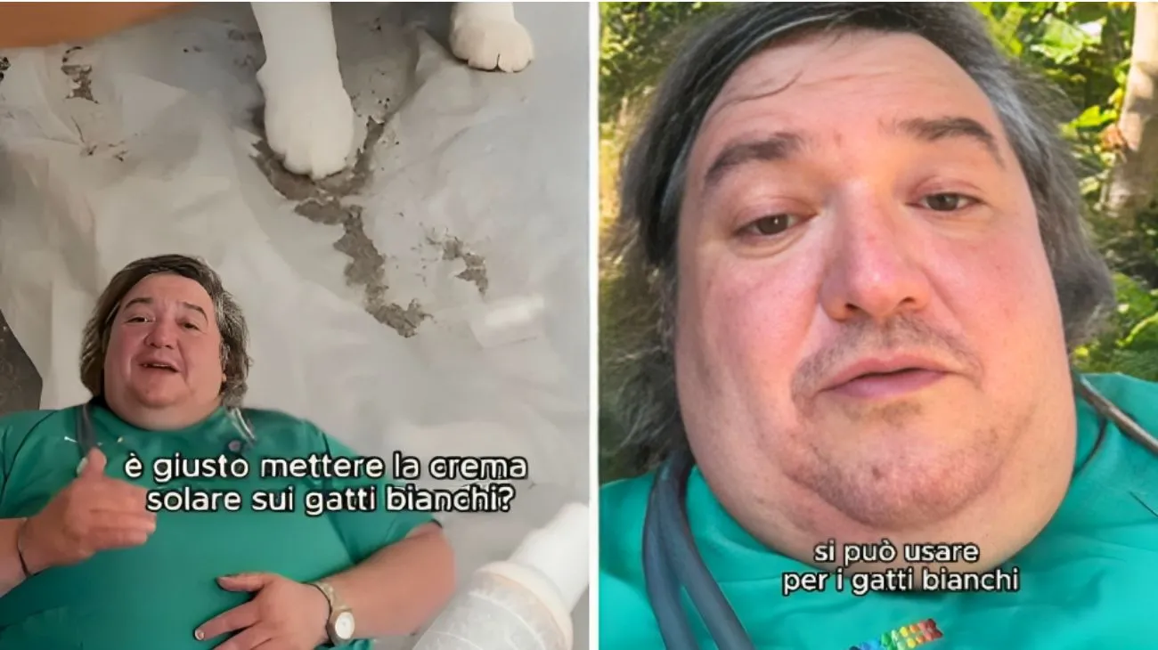 Gatti crema solare