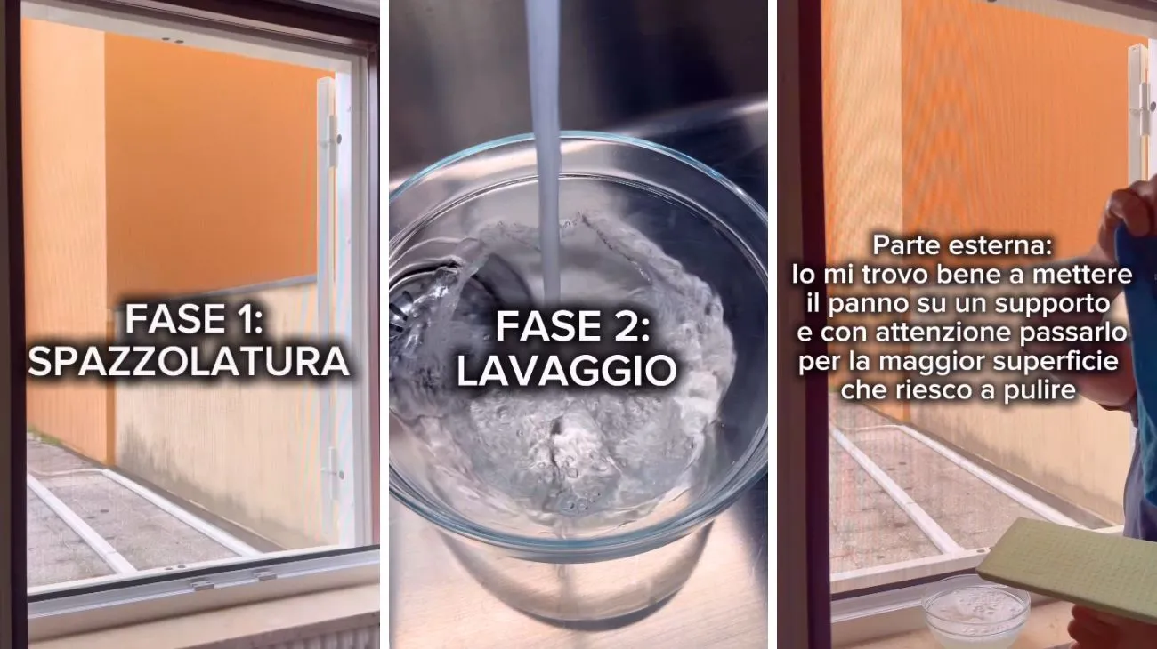 Zanzariera pulita metodo